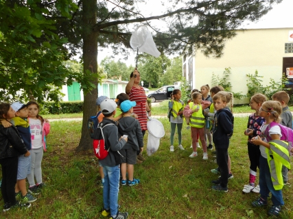 ŠD - výukový program "Kouzelný les"