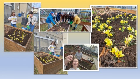 Žáci 9.C se zapojili do projektu KROKUS