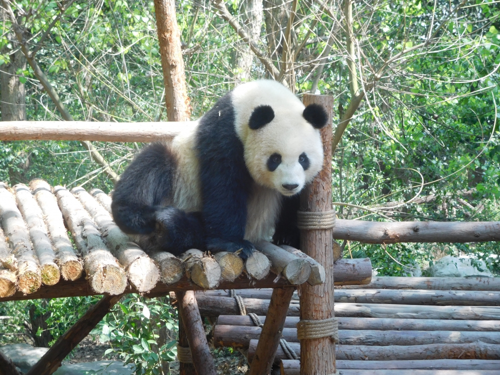 DSCN3814.JPG