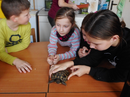 Povídání se zvířátky- školní družina