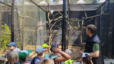 Exkurze do ZOO Hodonín 1. A, 1. C