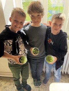 Jarní tvoření ve 4.B