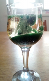 Domácí experimentování 6.B a 6.C