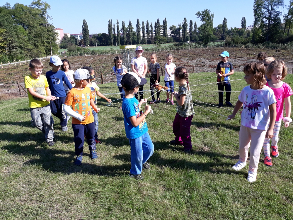 20190913_103359.jpg
